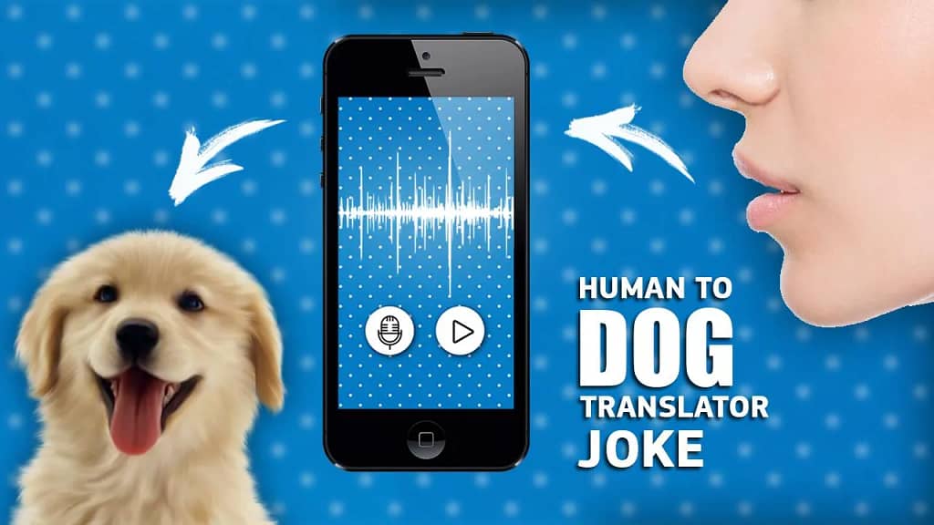 Introducing the Human to Dog Translator App
